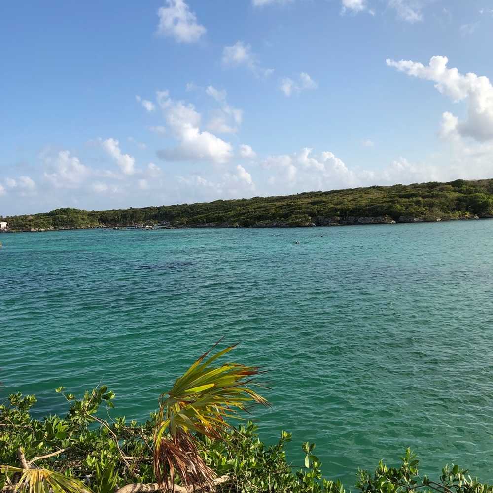Meet your Posher, Gustavo